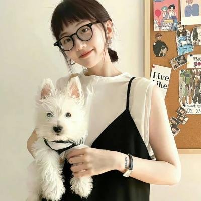 纽约趣史